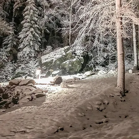 Апартаменты Cozy In Crinitzbergbaerenwald *